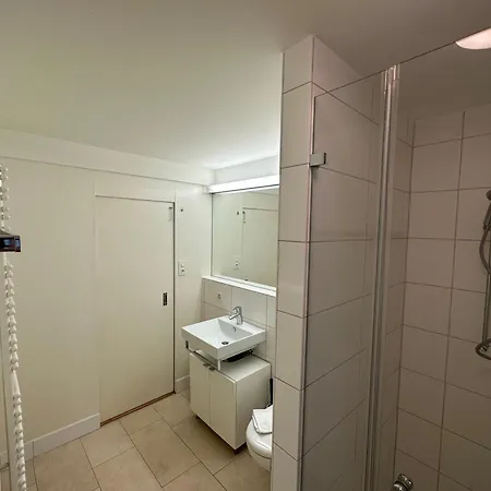 Zh Brecht 3 - Limmatquai Hitrental 아파트
